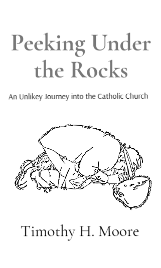 Peeking Under the Rocks: An Unlikely Journey into the Catholic Church (Hardcover)